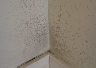 mould in room with standing water biosweep